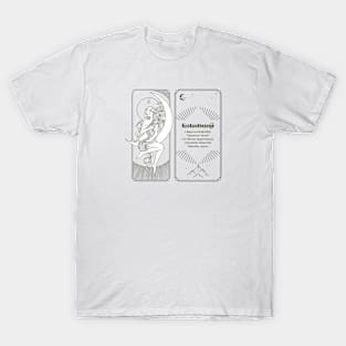 Meteorite Collector "Observed Fall: Kokubunji "Hammer Stone" Meteorite T-Shirt